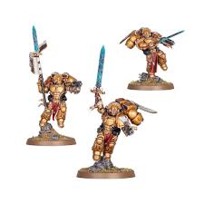 40K: SM Blood Angles Sanguinary Guard