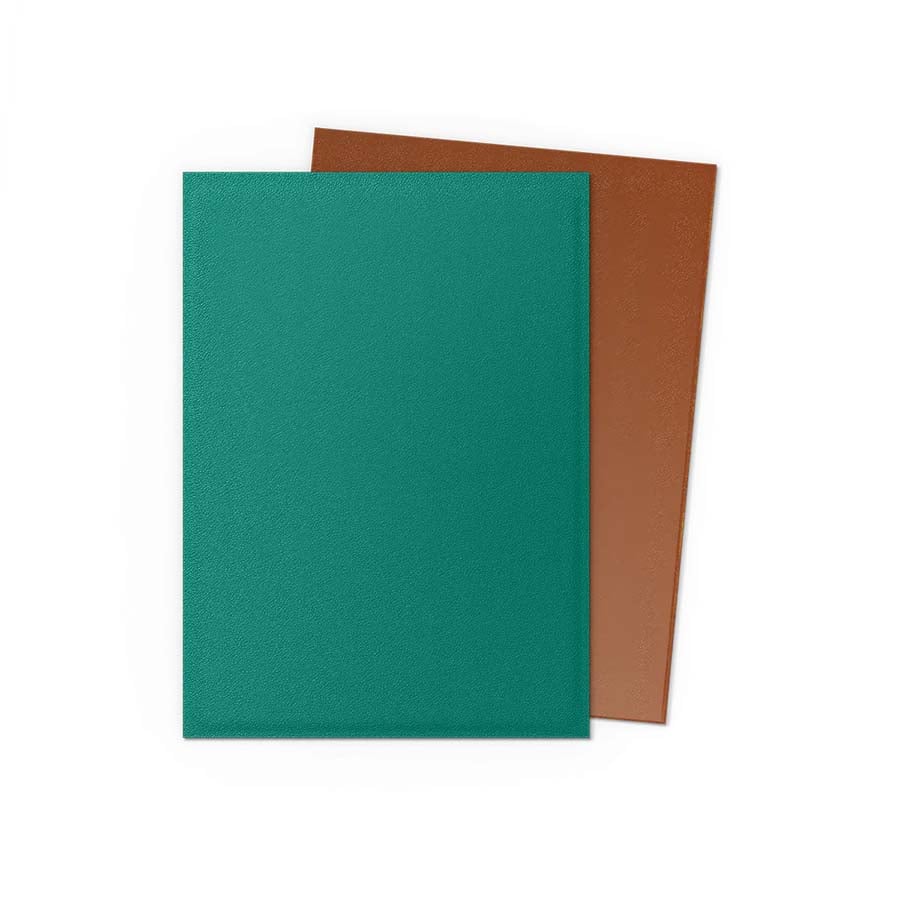 Dragon Shield Dual Matte 100ct