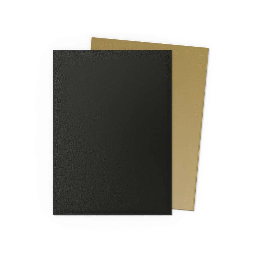 Dragon Shield Dual Matte 100ct