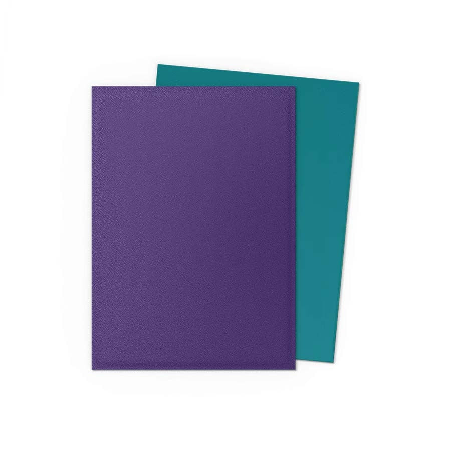 Dragon Shield Dual Matte 100ct