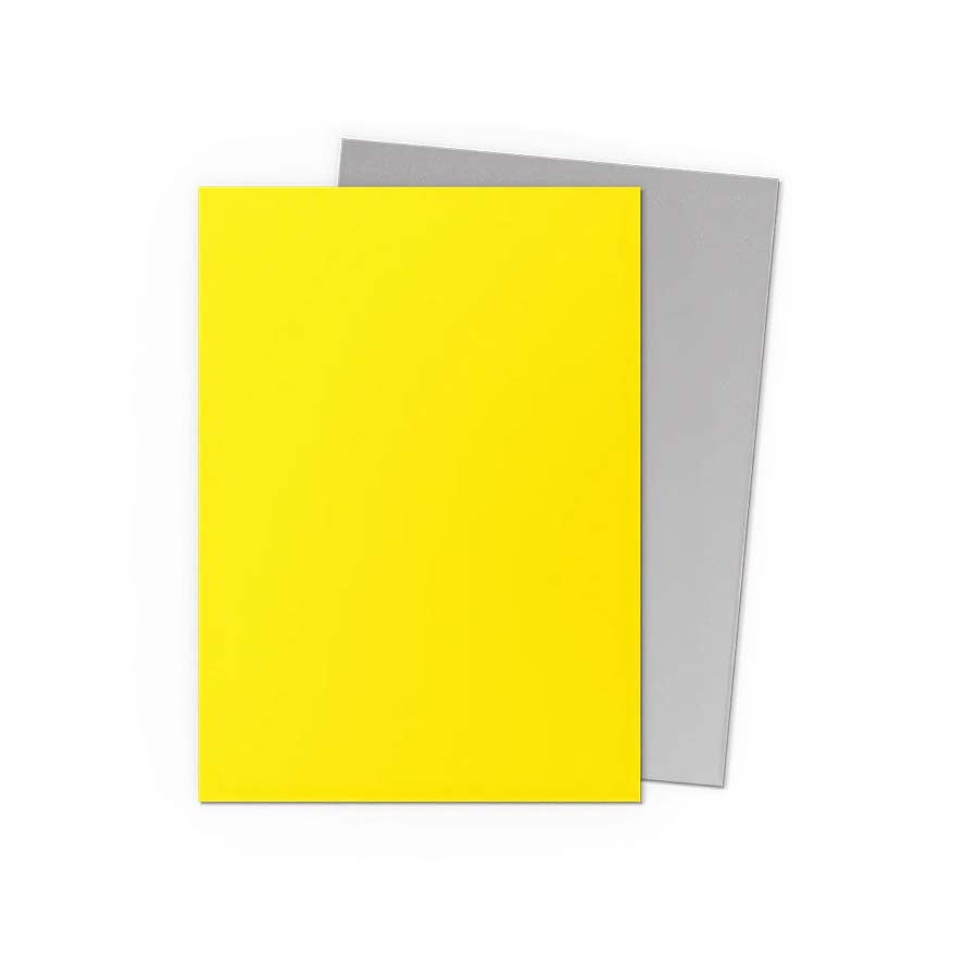 Dragon Shield Dual Matte 100ct