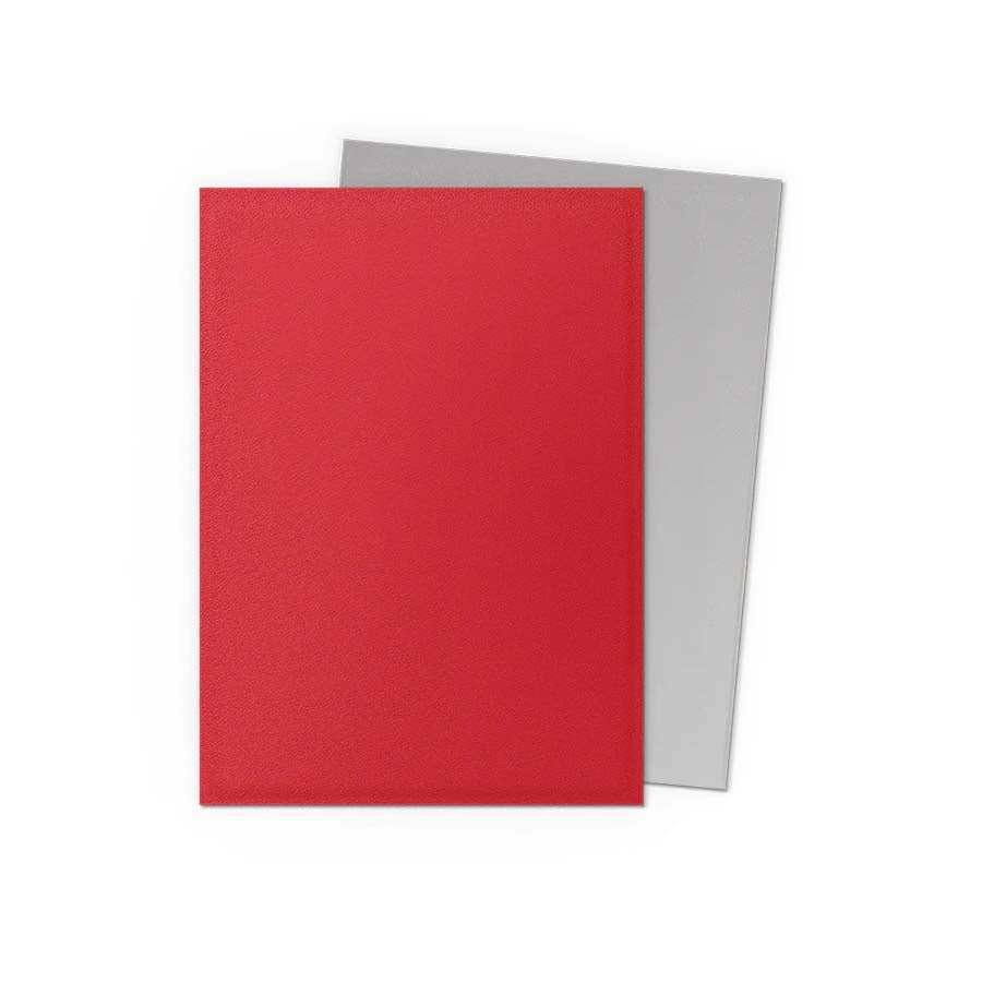 Dragon Shield Dual Matte 100ct
