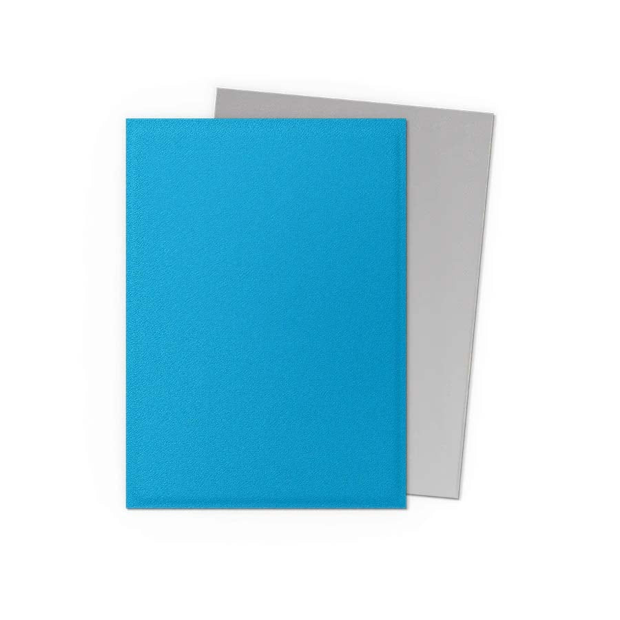 Dragon Shield Dual Matte 100ct